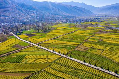 【一月一县市·洱源】发展“农文旅”模式 打造凤羽乡村旅游靓丽名片