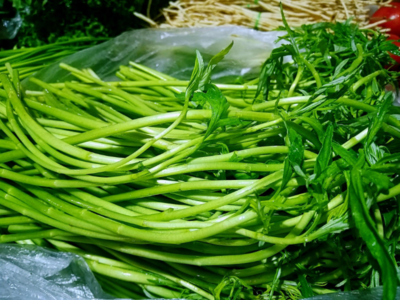 【清明特辑】大理春天的味道来啦！这些野菜正当食
