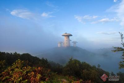 早安云南丨六园九景异彩纷呈 踏入菌子山的童话世界