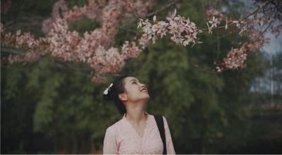 “小玉带你逛景区”正式上线！云上体验西双版纳泼水节的魅力