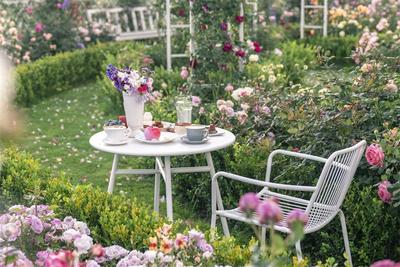 【开放大理】“扛”着上千盆多肉  一家三口到大理安了家