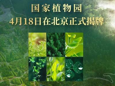 今天，正式揭牌！