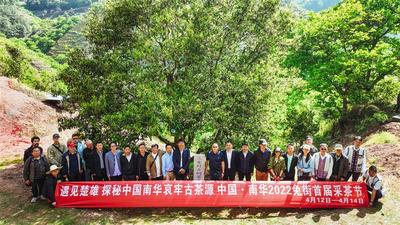 哀牢古国·千年贡茶 | 相约兔街，还有这些精彩体验！