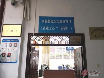 大理云龙：擦亮政务服务“小窗口” 创优营商环境“大舞台”