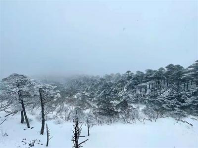 【清明特辑】清明遇上苍山雪 山巅美景引客来！