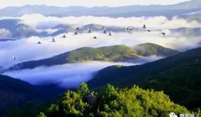 【美丽大理】人间四月芳菲日，南涧踏青赏花正当时  
