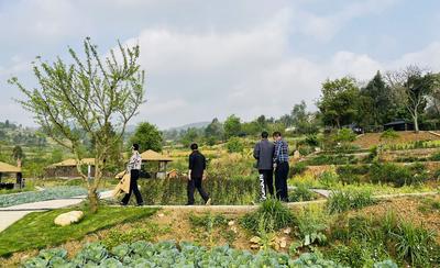 弥勒市文化和旅游局深入村寨调研乡村旅游新亮点