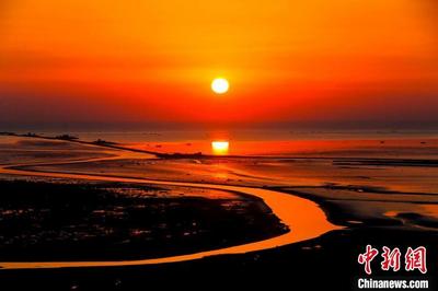 山东拟定黄河口国家公园设立方案 明确功能区划