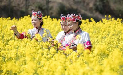 五一游玉溪｜跟着花灯说唱《新游春》游玉溪