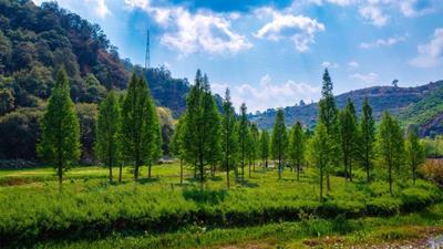 玉溪易门双龙湿地：翠嶂幽境芳草沁