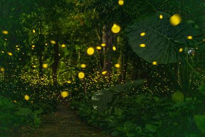 @所有人 西双版纳为您送上这份“五一”旅游大礼包 请查收！