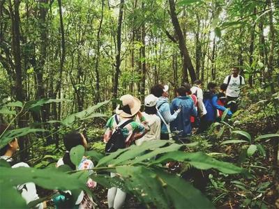 普洱市清明假期迎客20.63万人    踏青赏花、文化体验、乡村旅游受欢迎