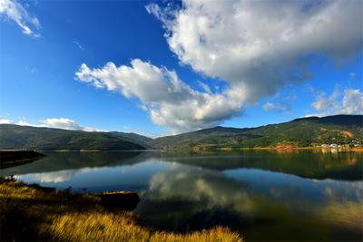 【美丽大理】春到苍鹭谷