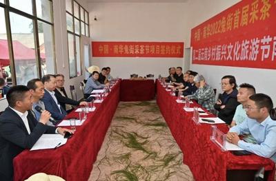 哀牢古国·千年贡茶｜专家学者共论茶业，南华兔街大有可为！