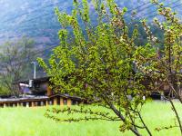 图集 | 丙中洛镇的“南大门”茶腊景区