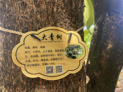 【美丽大理】一起挂牌牌！来苍山植物园给花木配“身份证”啦