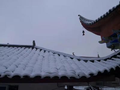 【美丽大理】人间四月雪！绝美！