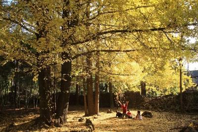 云南2地，国家级示范！