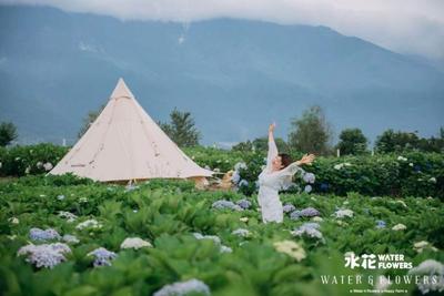 【云南人游大理 大理人游大理】花海、群山、星空......来大理开启一场浪漫的露营之旅