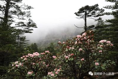 轿子山大索道完成全部调试 即将开启全新旅游体验模式