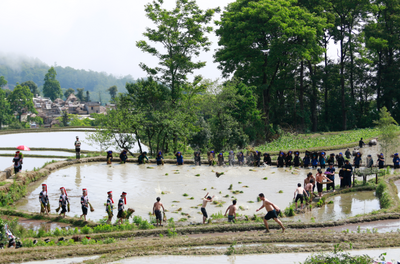 抗疫人员以及红河州人的元阳哈尼梯田景区专属福利来了！