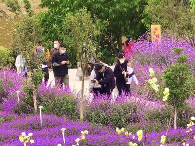 就地过节也精彩！“五一”假期玉溪文旅市场平稳有序