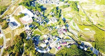 【游云南 正当时】普洱精品茶旅线路推荐丨来一场“寻根探祖”的普洱茶“发烧之旅”！