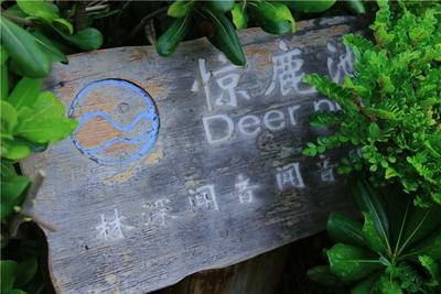 精彩纷呈！“云南·昆明网络文化节”系列活动之“V游昆明”走进富民