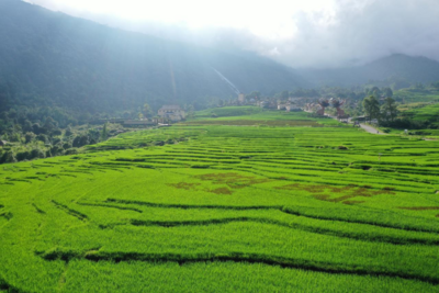 COP15丨中国·红河蝴蝶谷“COP15蝶翩翩 生物多样展新颜”系列活动启动