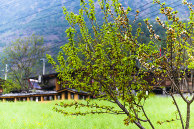 怒江有木（二）：怒族人智慧的集合——木楞房