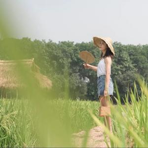 中国旅游日 乐游西双版纳 | 水中摸鱼，田里插秧，这个周末我们田野相见