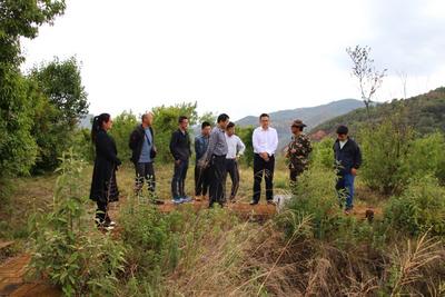 玉溪市为“纪念云南李家山古墓群考古发现50周年学术研讨会”做好前期准备工作