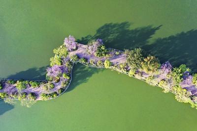 游云南 正当时丨TA说红河