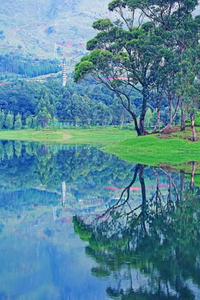 【有一种生活叫大理】水乡鹤庆的盛夏，值得期待