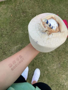 乐游西双版纳 | 奇妙水果季 西双版纳为你的甜蜜无限续杯