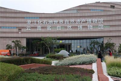 国际博物馆日 | 探访澄江化石地世界自然博物馆  探索生命的密码