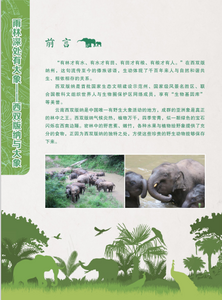 5·18国际博物馆日丨来西双版纳“馆中窥宝”，感受博物馆的力量