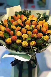 寻味云南 荔枝熟了 首届屏边县荔枝短视频大赛来了！