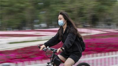 【有一种生活叫大理】想和你 相见在这个美好的夏天