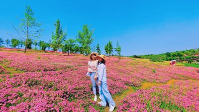 夏天至，来弥勒游两日！