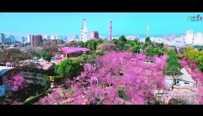 视频｜昆明，不止是春城