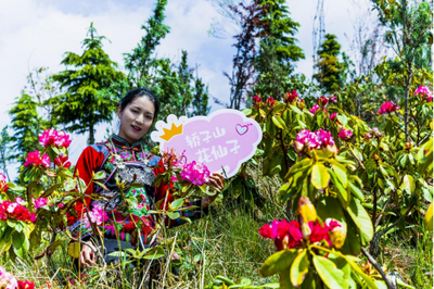“最美花仙子”  翩然“降临”轿子山
