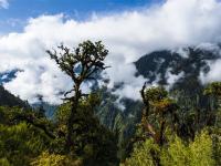 独龙江边绿水青山——普卡旺村