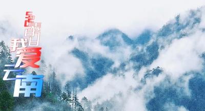 520表白日｜我爱你，亲爱的云南