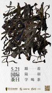 我们用云南普洱茶拼了几个字