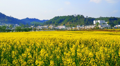 临沧人游临沧 | 大自然的调色盘——多彩勐佑