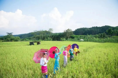 “五一”游西双版纳 | 西双版纳“热带雨林•梦回傣乡”之旅入选全国乡村旅游精品线路