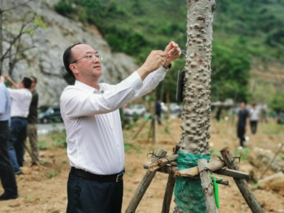 怒江州启动2022年“5·20”高黎贡山绿树认养活动