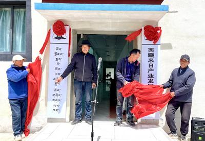 隆子县：“老牌温泉”助力村集体经济持续“升温”