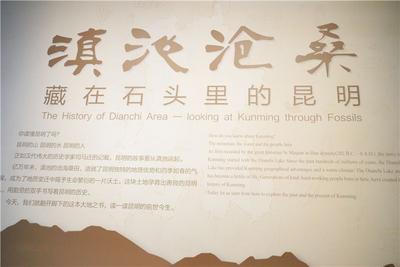 5·18国际博物馆日丨藏在石头里的昆明 邀您感受“博物馆的力量”